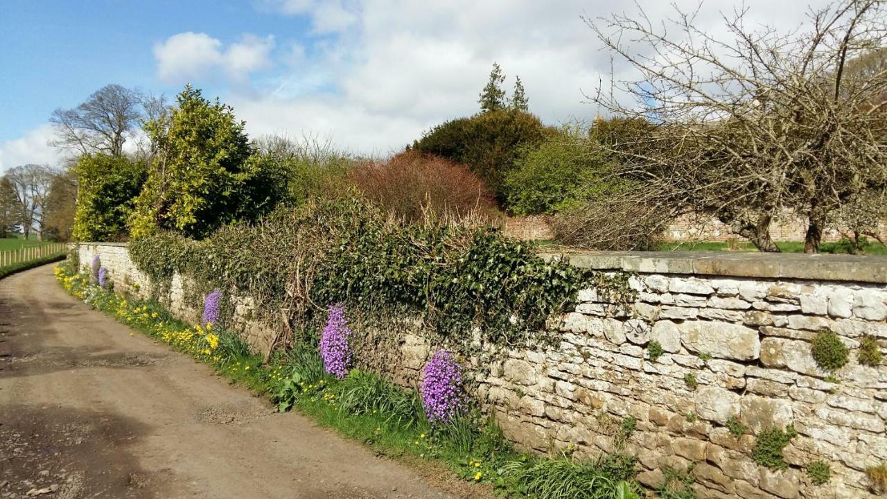 Owl Cottage Hexham Exterior foto