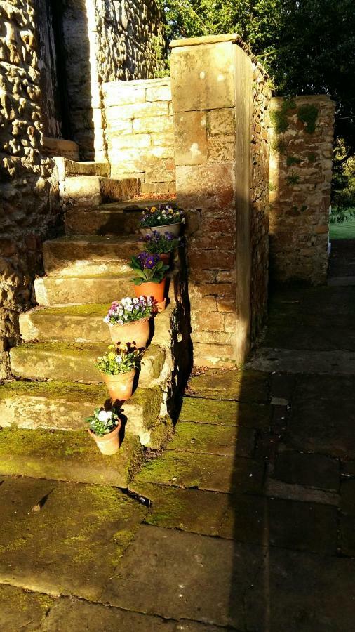 Owl Cottage Hexham Exterior foto